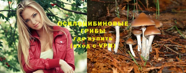 каннабис Алексеевка