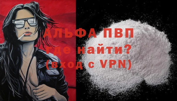 ешки Алексин