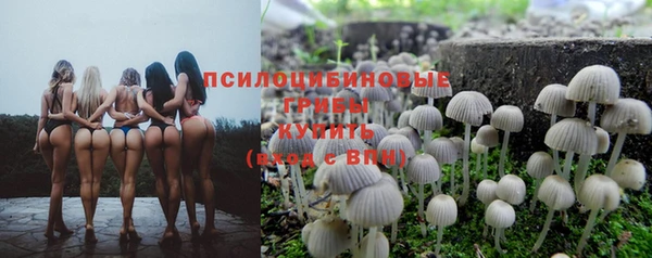 ешки Алексин